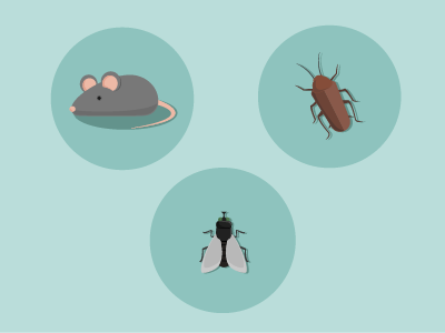 Pests