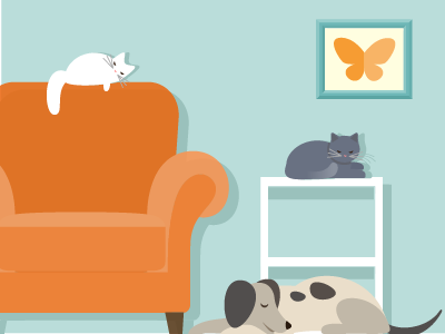 Pets