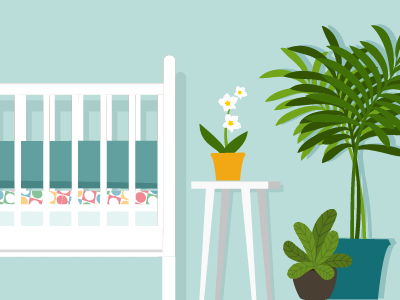Plants