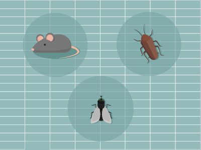 Pests