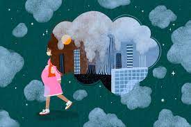 Special Focus: Climate Change and Pregnant Women