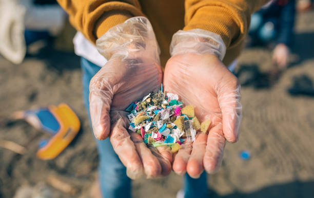 How much should we worry about the health effects of microplastics?